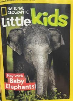 National Geographic Little Kids Play with Baby Elephants! 