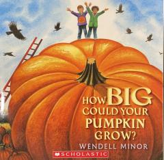 How BIG Could your pumpkin grow?