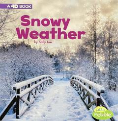 Snowy Weather