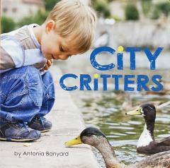 City Critters