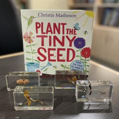 Plant the Tiny Seed