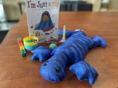 Self Regulation Kit