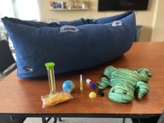 Self Regulation Kit